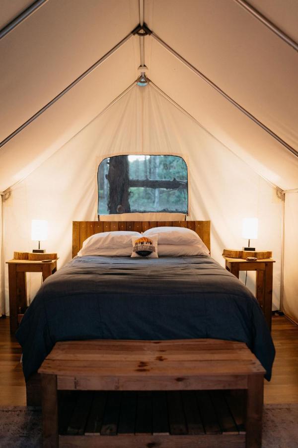 Hotel Treehouse Cozy Glamping Site Branson Zewnętrze zdjęcie